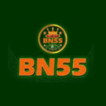 BN55 LOGO