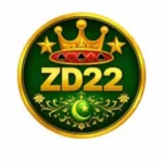 Zd22 game Logo