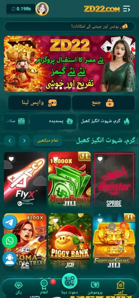 zd22 game