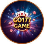 Go177 Logo