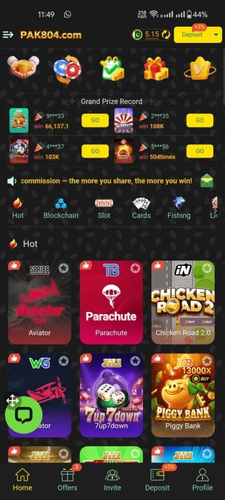 Pak804 Interface Screenshot