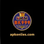 BK999 Game Screenshot