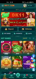 DK11 Game Interface Screenshot